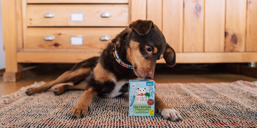 Erbsen für Hunde
