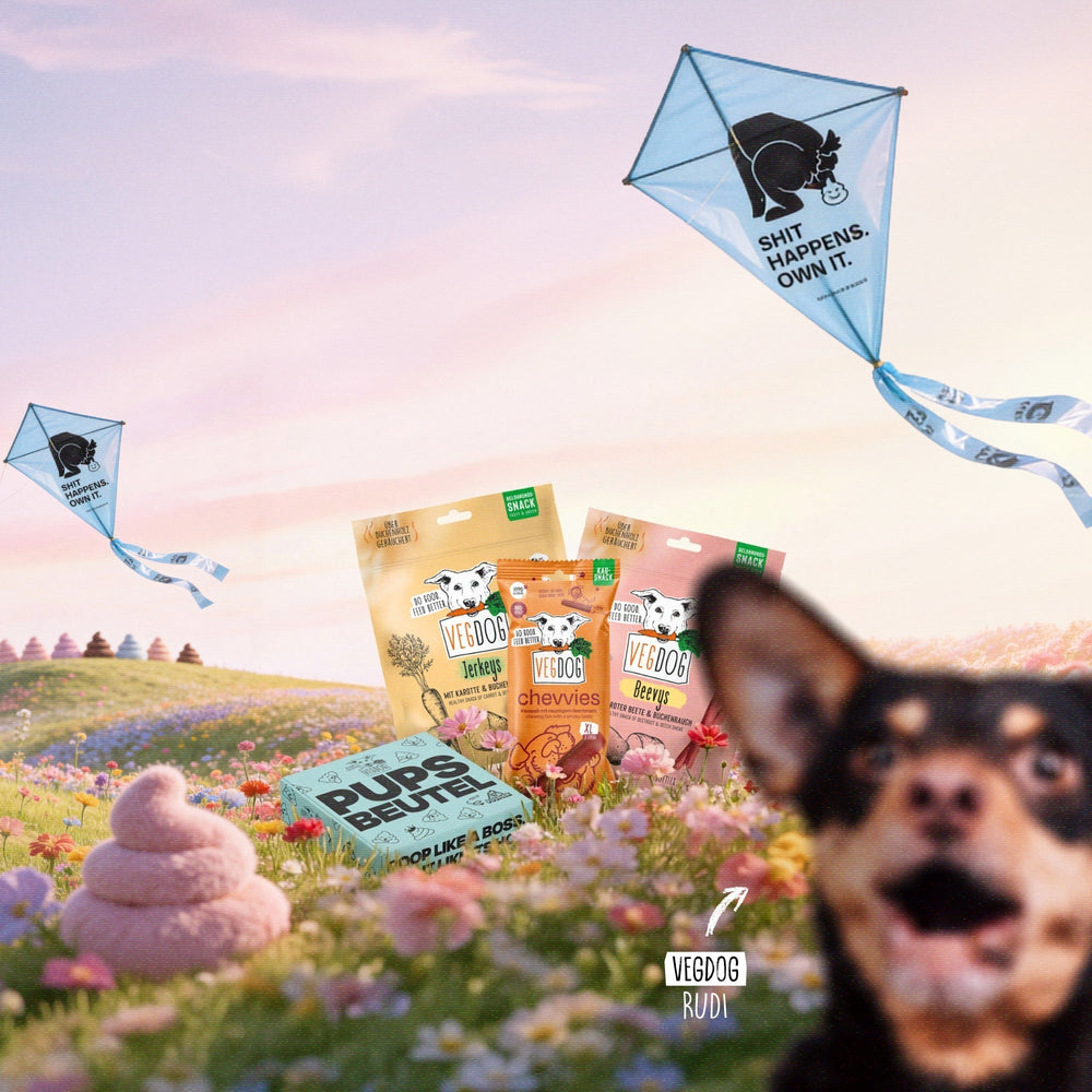 Gassi-ready in einem Set: BBQ-Snacks plus Poop Bags