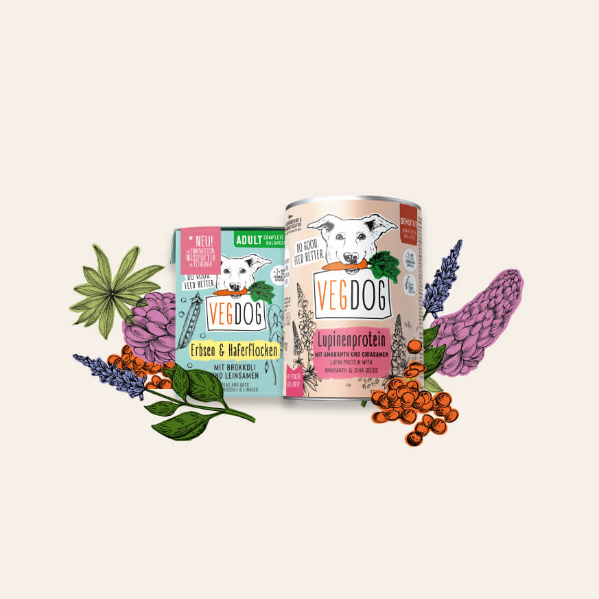 VEGDOG Adult Veganes Nassfutter Fr Hunde 6x800g  Getreidefrei Mit  Kartoffeln, Linsen & Hirse Veganer Hundeernhrung