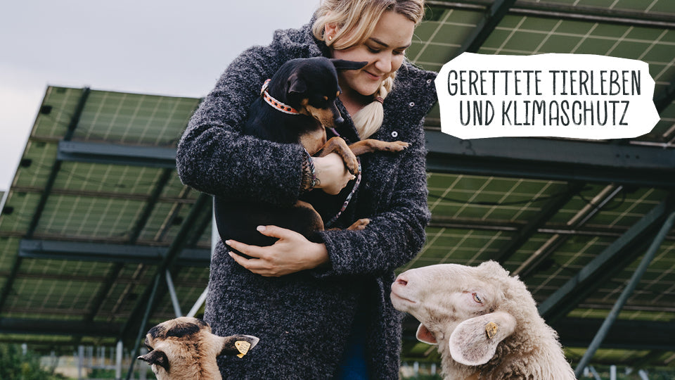 a woman holding a dog and sheep