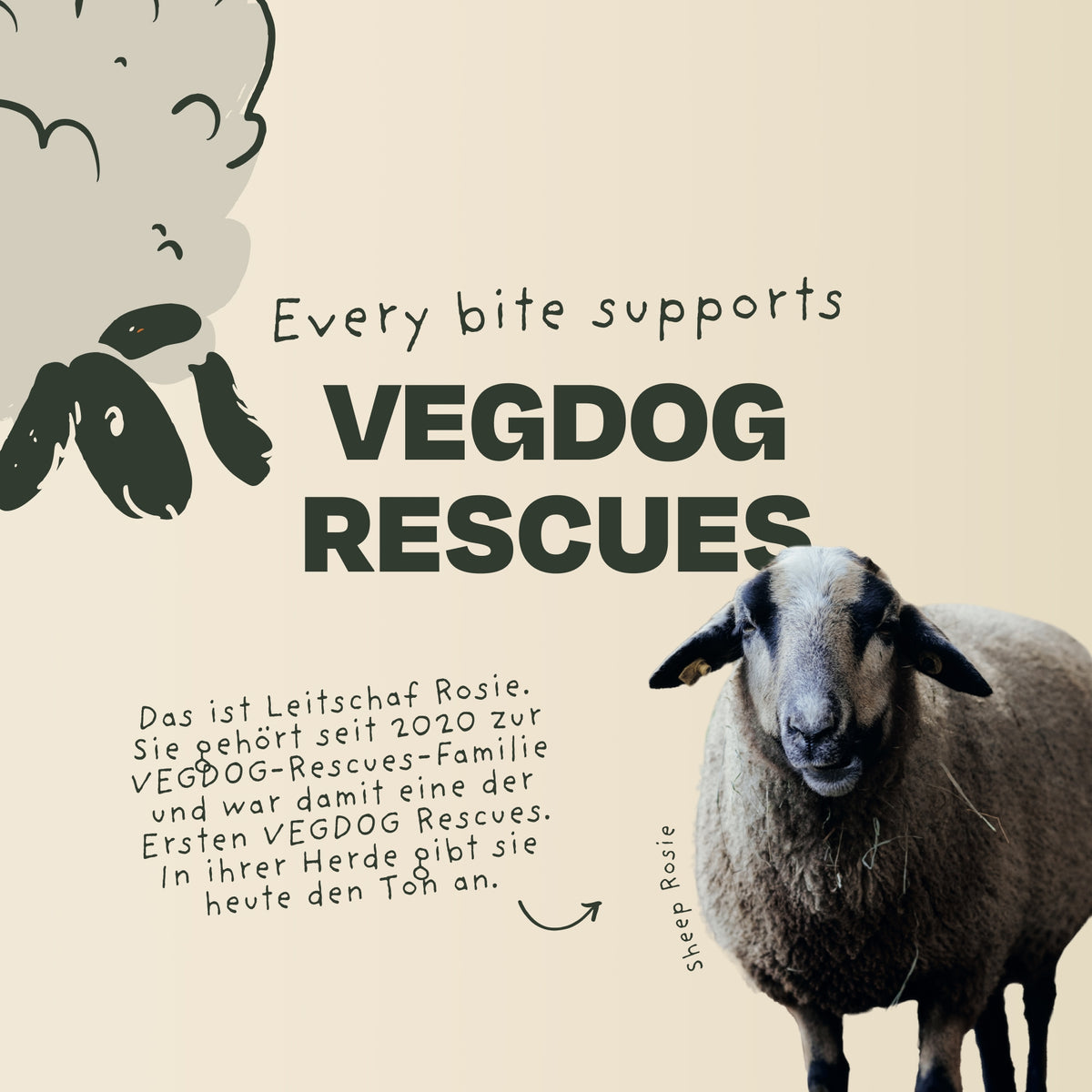 VEGDOG Adventskalender 2026 groß