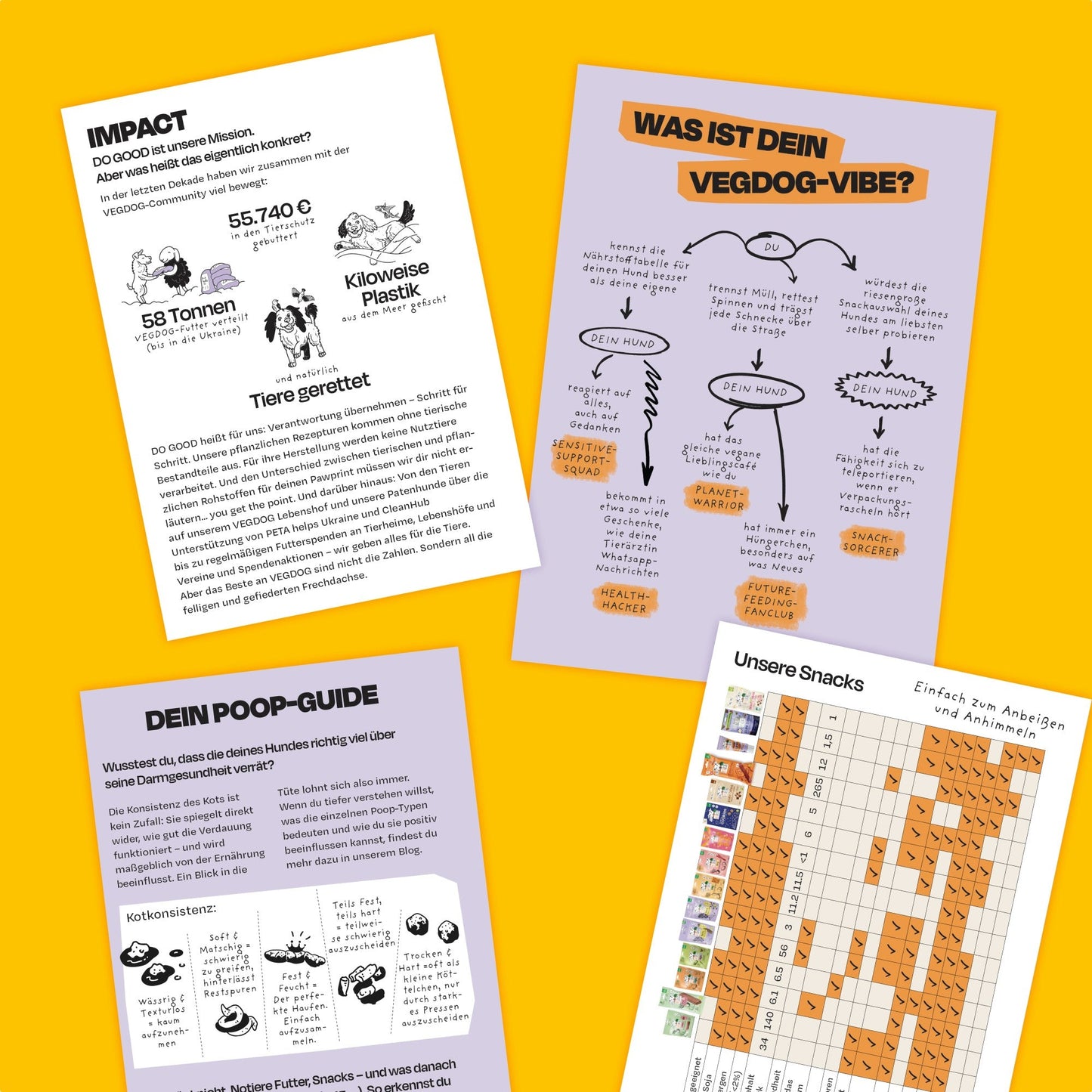 Transition Booklet