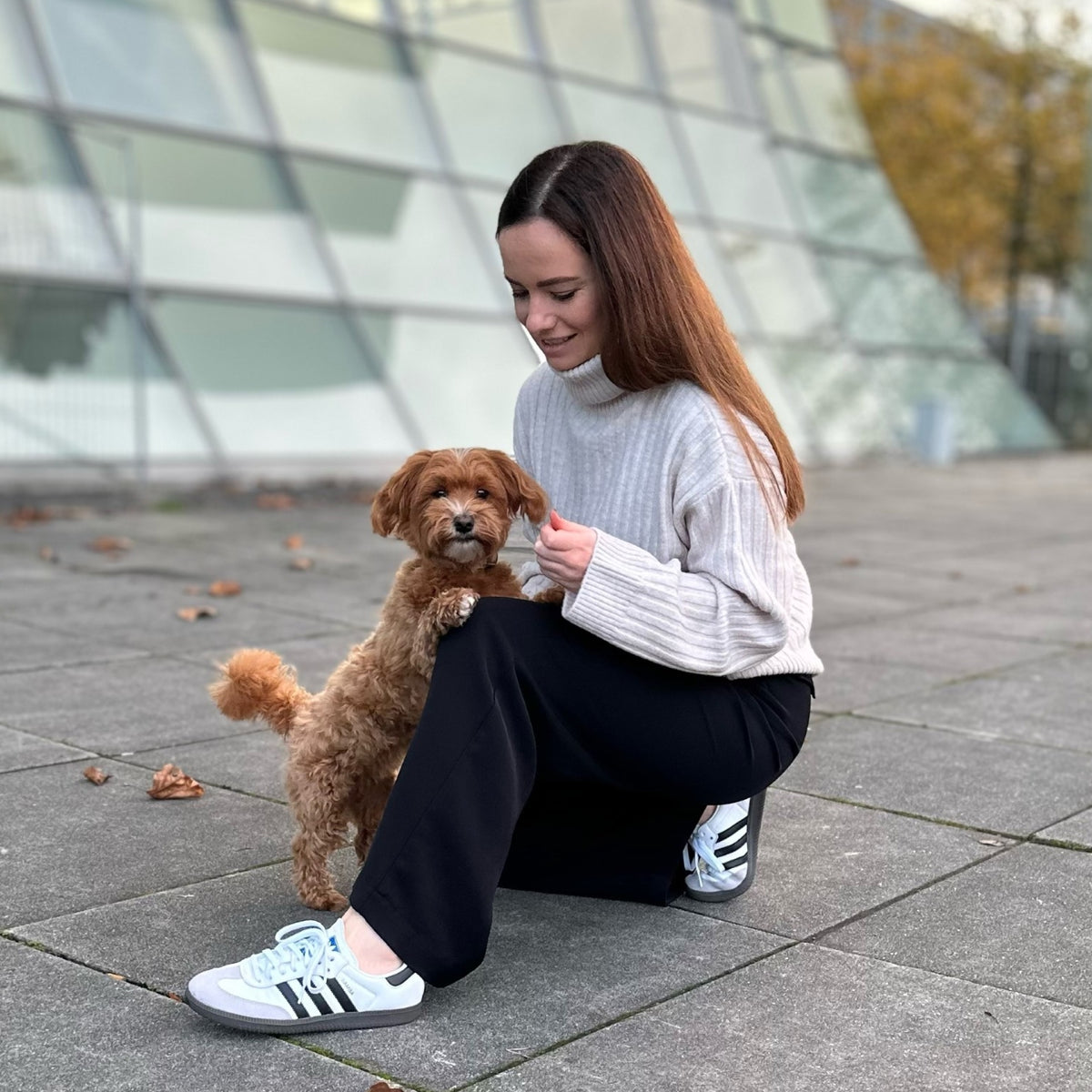 Champagnepawblems Snack-Paket
