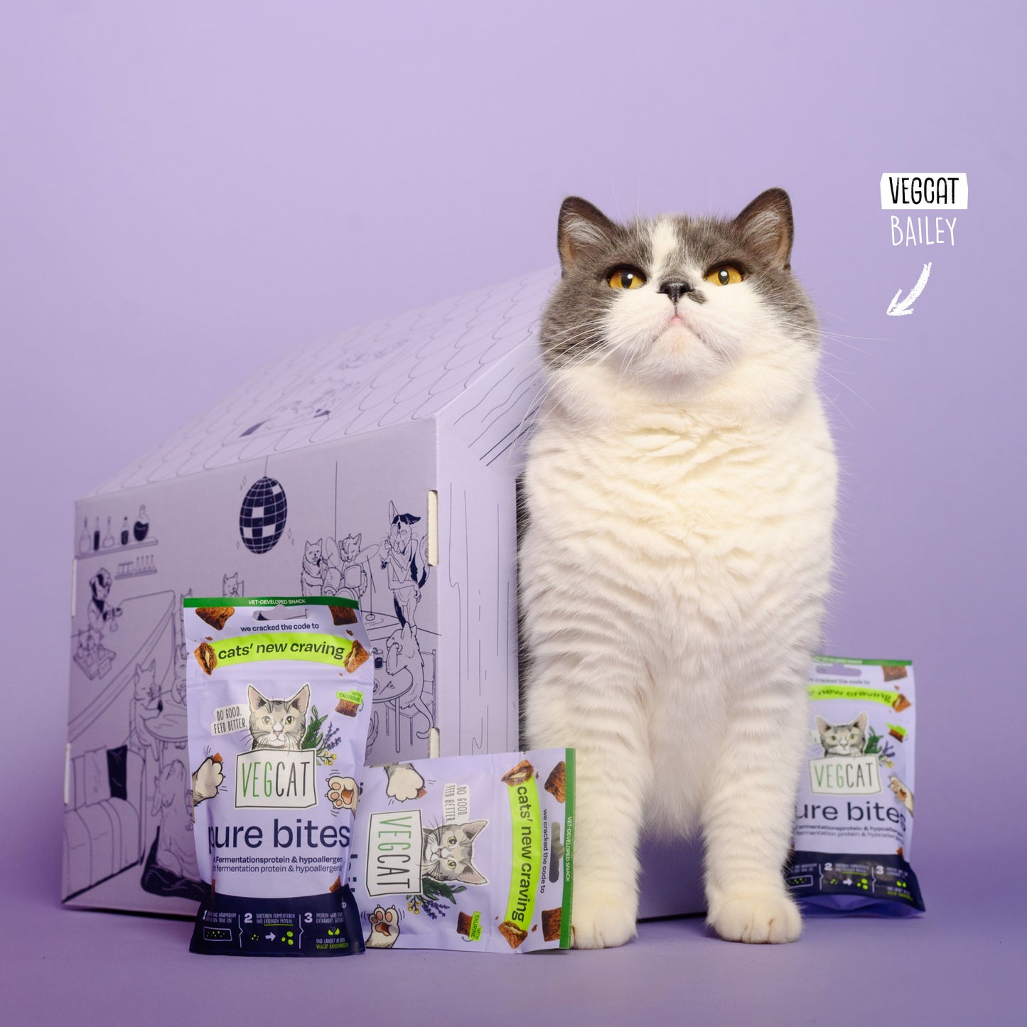 VEGCAT Clubhouse & Bites