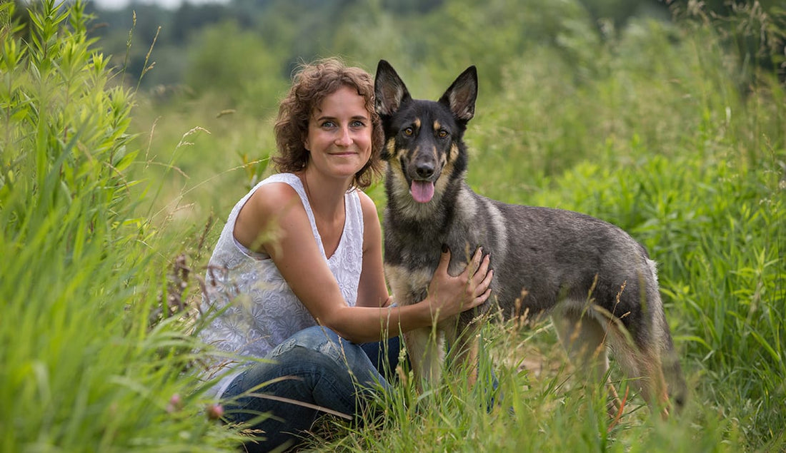 Erkenntnisse einer Tierärztin zum Thema vegane Hundeernährung