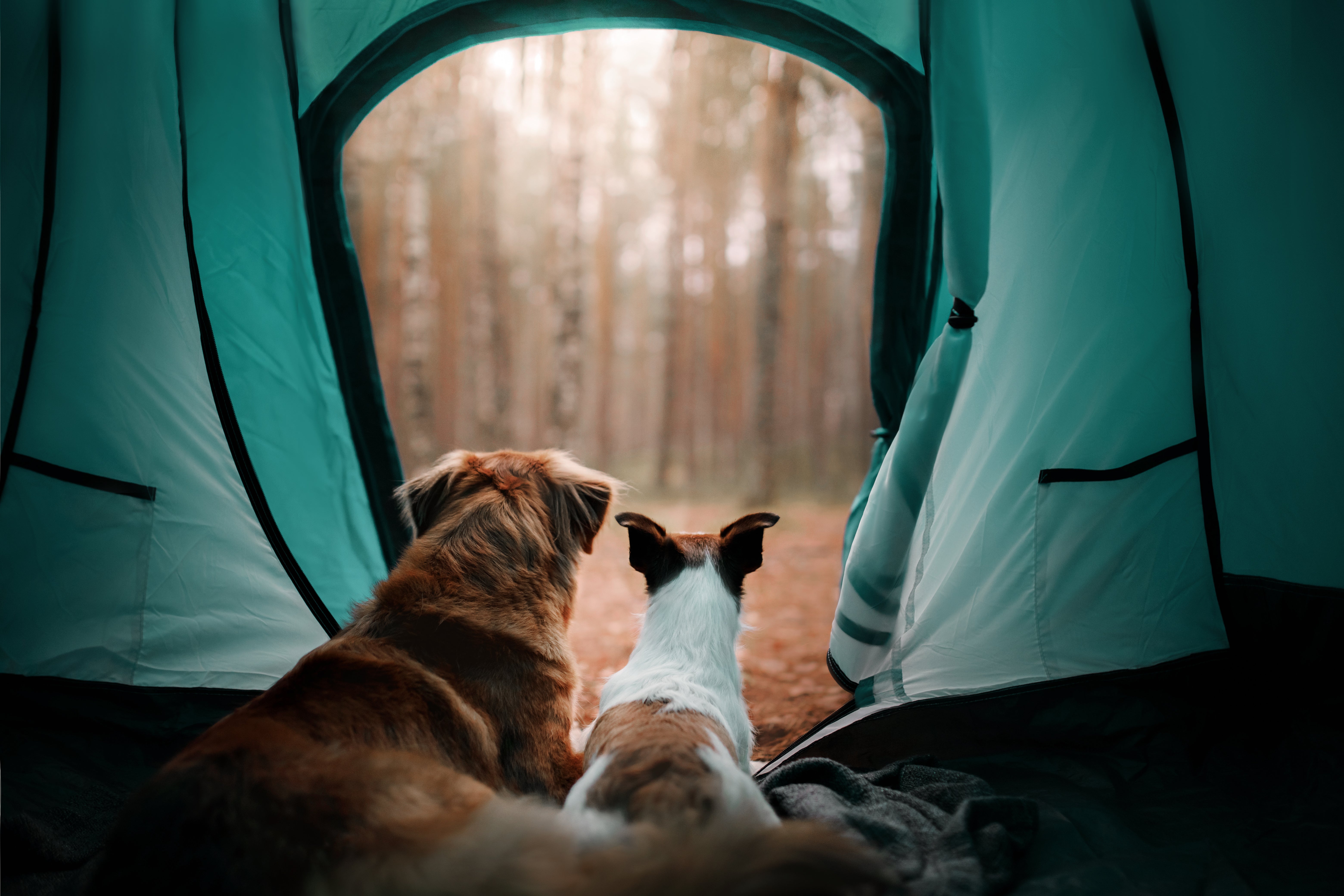 From adventure to relaxatio...