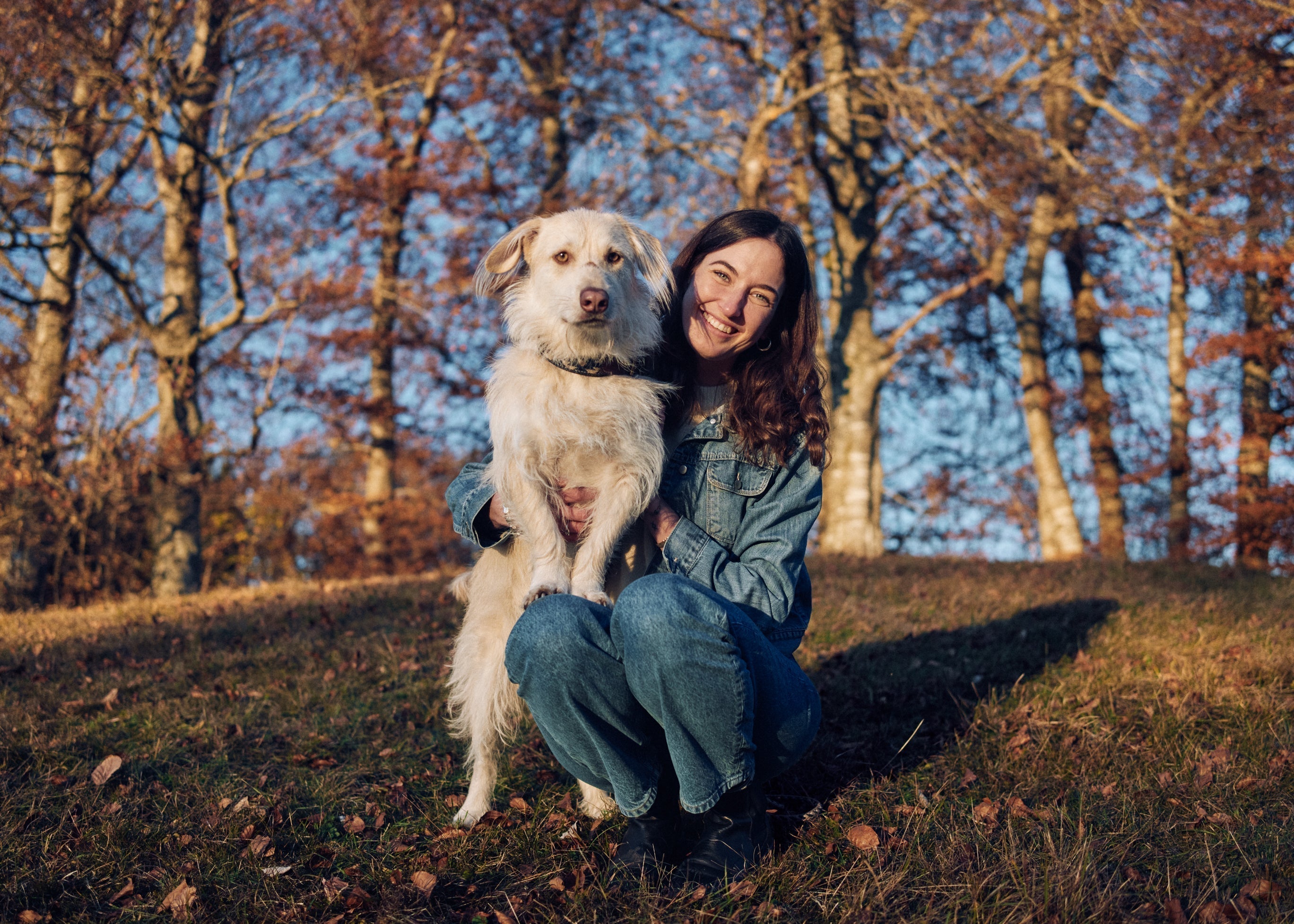 Herbstbilder mit Hund: Die ...