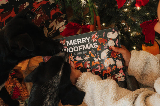 24 Türchen, 24 Überraschungen: Der Adventskalender für Hunde von VEGDOG ist zurück