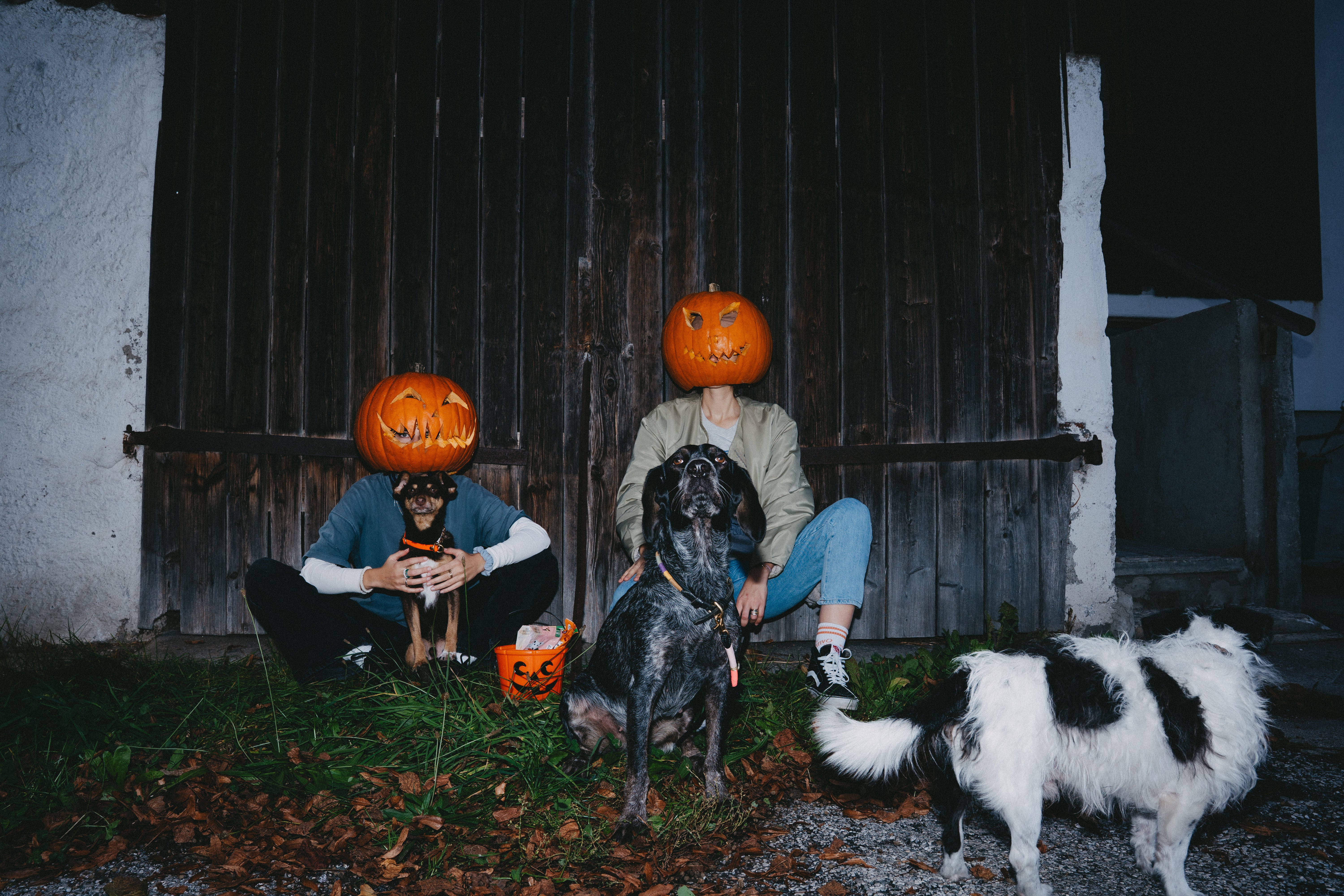 Tipps für dein Halloween mi...