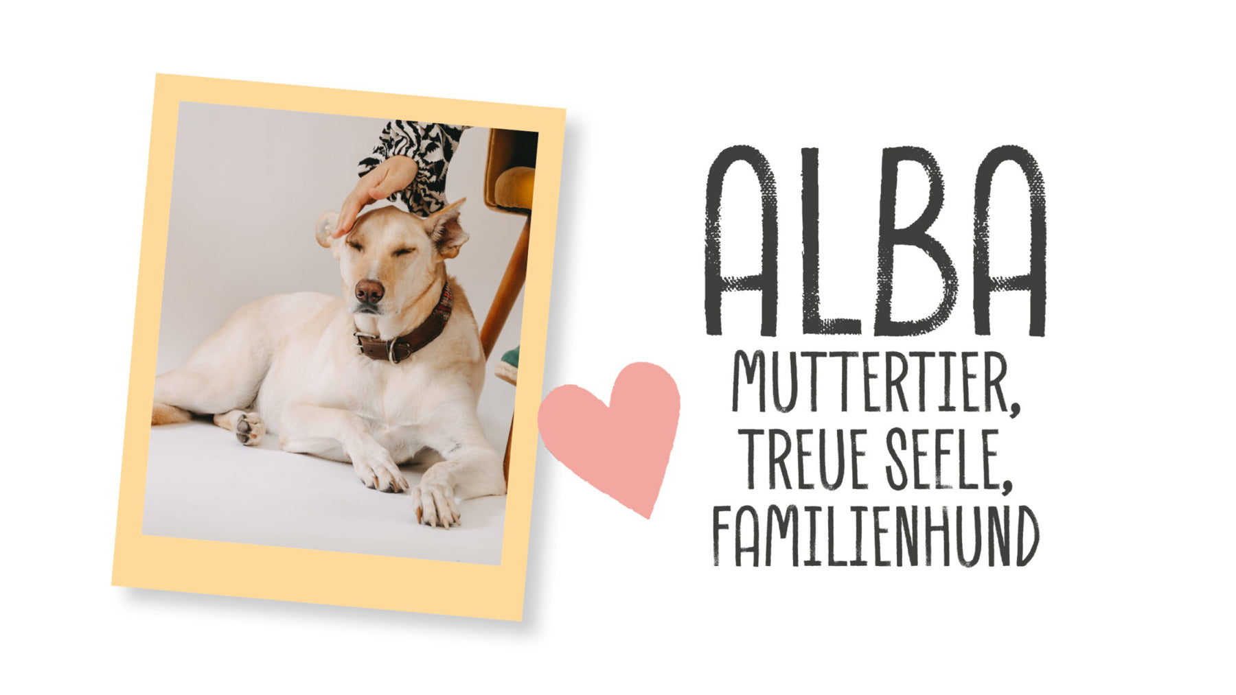 ALBA – MUTTERTIER, TREUE SE...