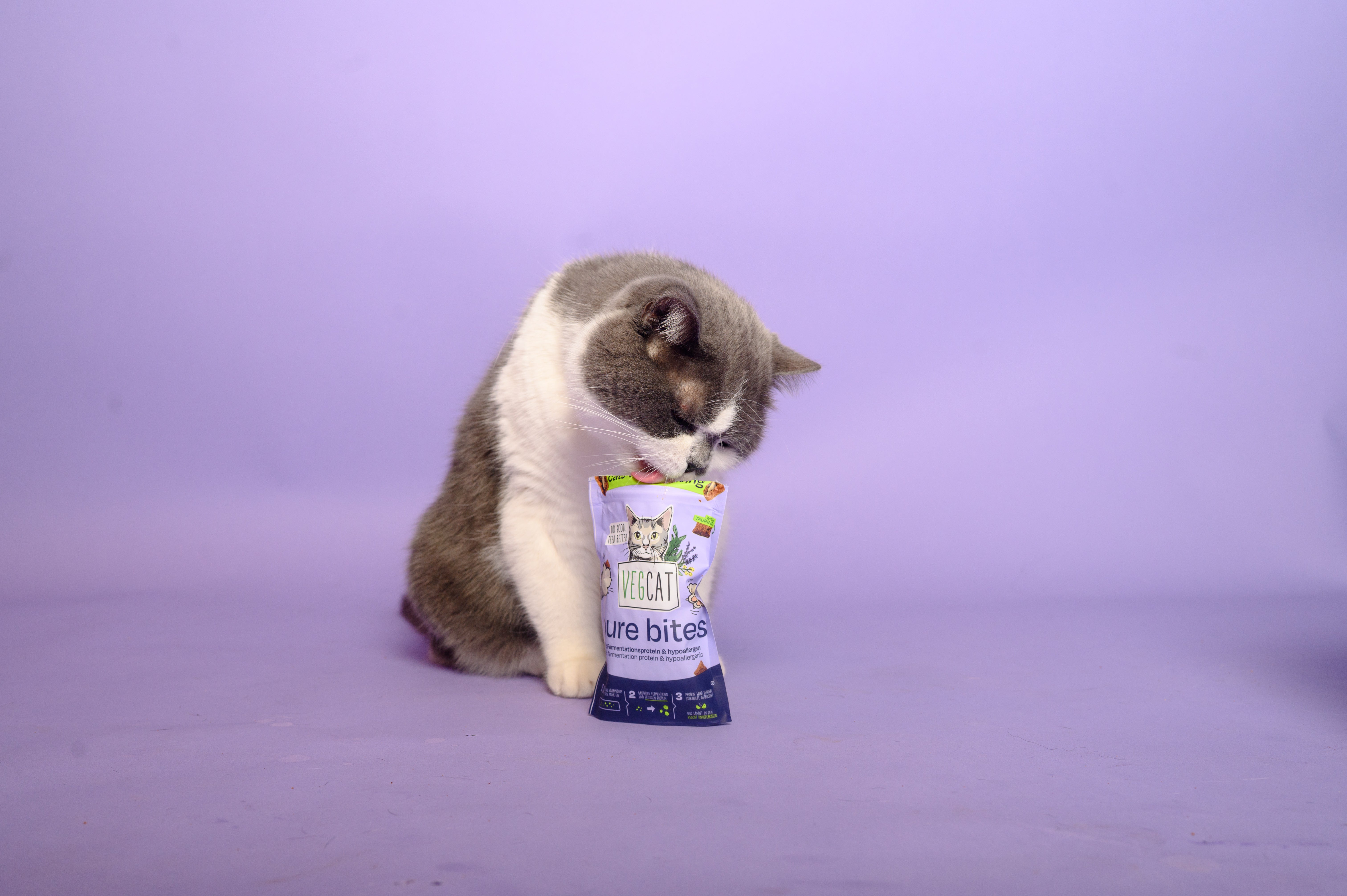 Vegane Katzenleckerlis für ...