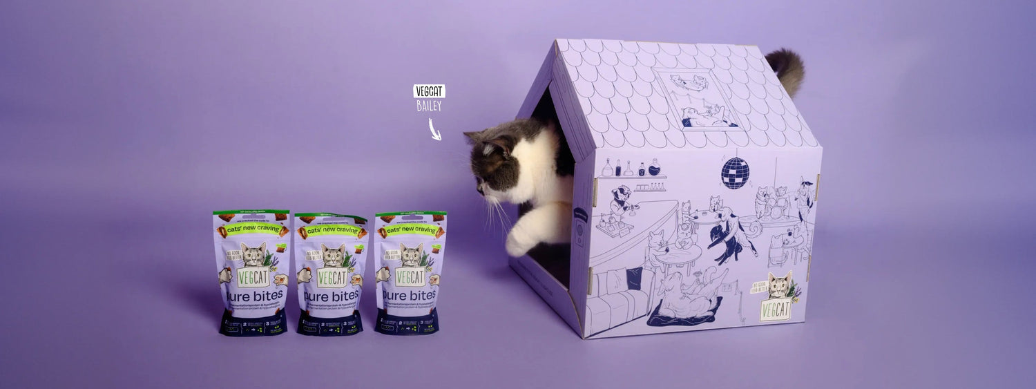 VEGCAT