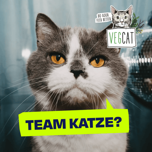 VEGCAT