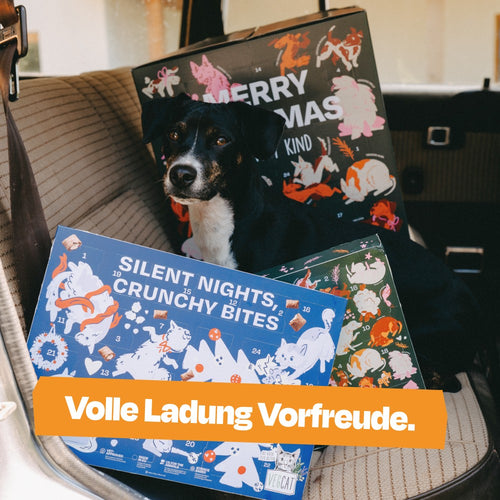ADVENTSKALENDAR