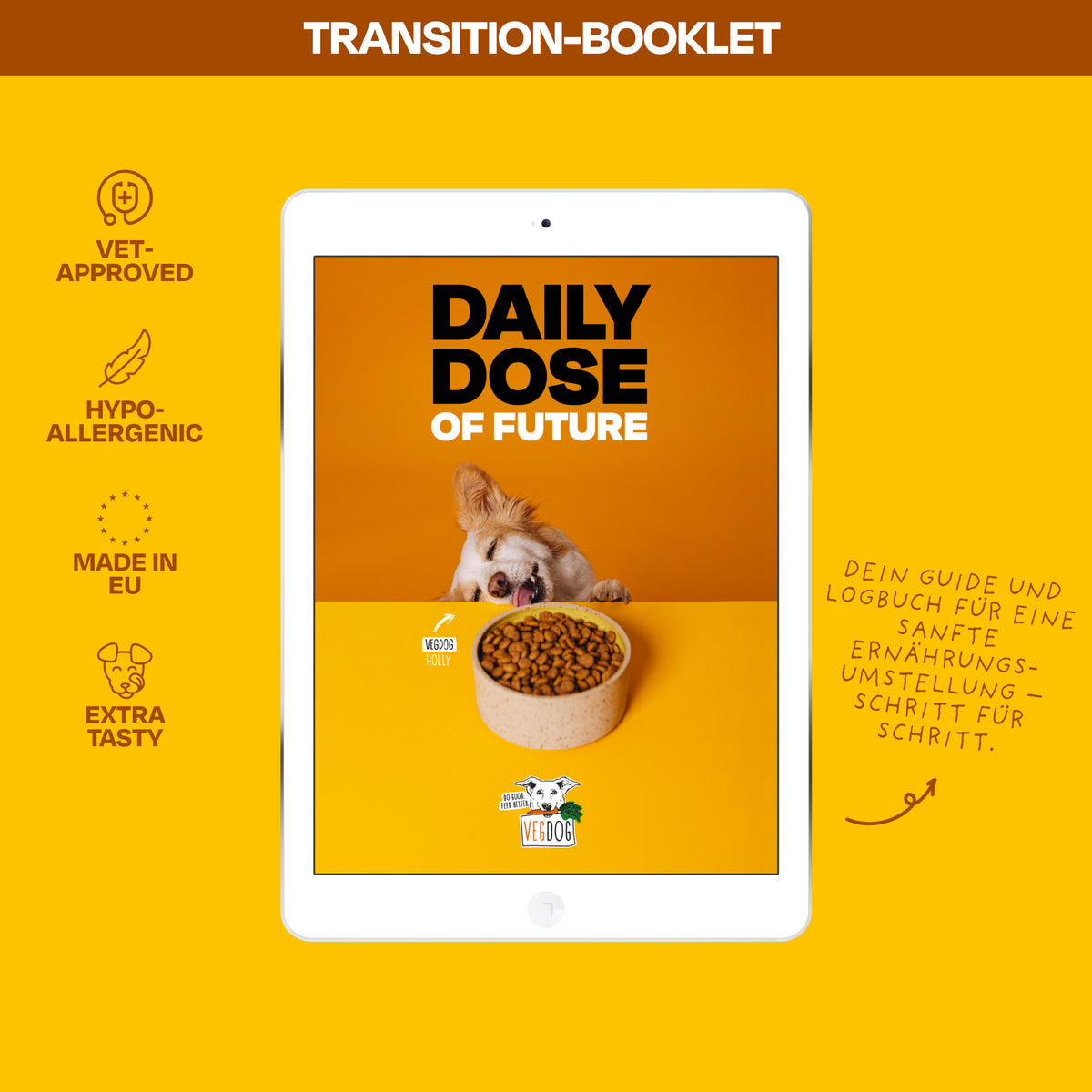 Transition Booklet