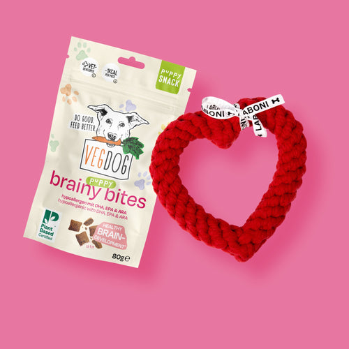 Puppy Starter Kit
