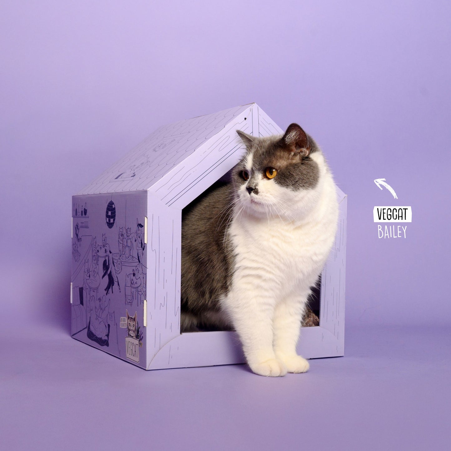 VEGCAT Clubhouse