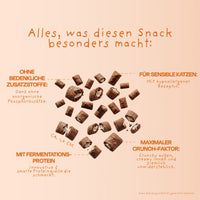 VEGCAT Digestives 3 für 2