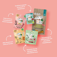 Mutimbauch Starter-Box