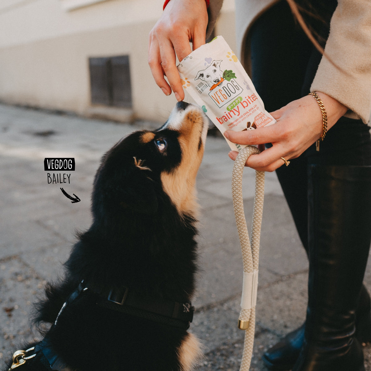 Puppy Vitality Kit