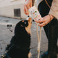 Puppy Allrounder Kit