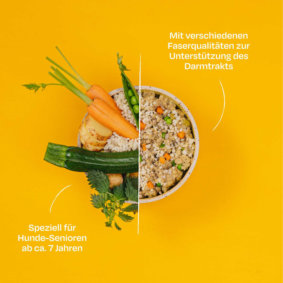 Veganes SENIOR Nassfutter Erbsen & Hirse – Für ältere Hunde