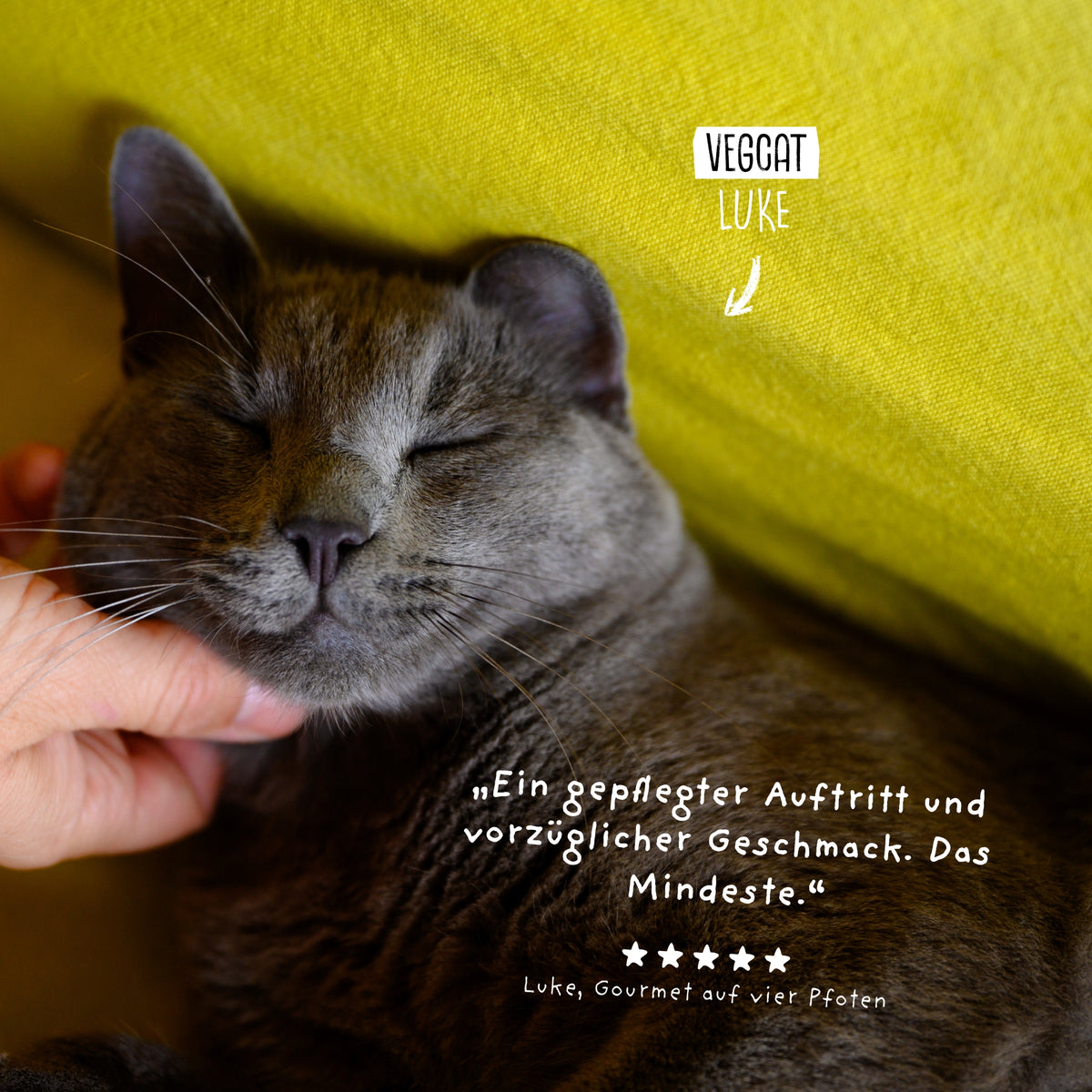 VEGCAT Skincares 3 für 2