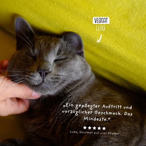 VEGCAT Skincares 3 für 2