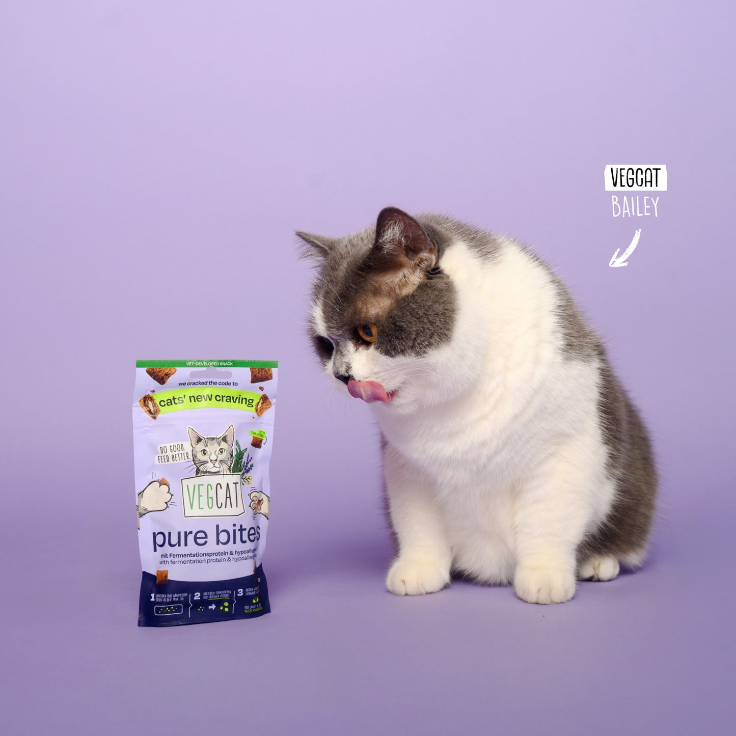 VEGCAT Pure Bites