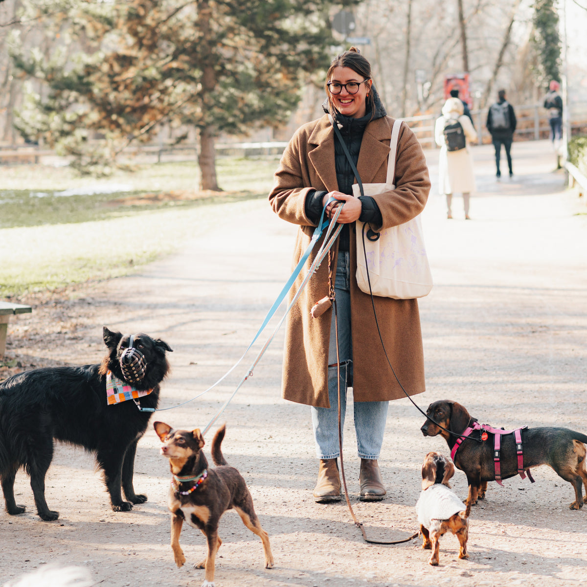 The Pack Bag
